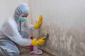 Best Mold Remediation for Healthcare Facilities  in USA